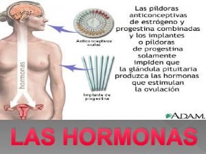 LAS HORMONAS Hormonas Las hormonas son los productos