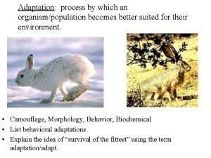 Adaptation process by which an organismpopulation becomes better