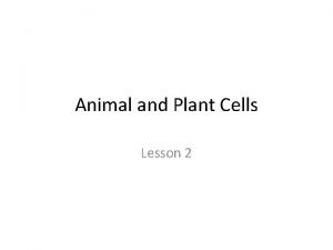 Animal and Plant Cells Lesson 2 Structure of