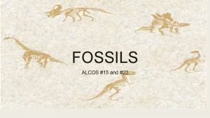 FOSSILS ALCOS 15 and 22 Paleontologist A scientist