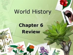World history chapter 6 review