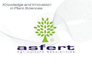 Asfert