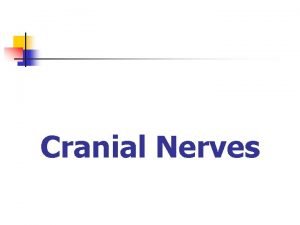 Cranial Nerves Cranial Nerves n Special Sense Nerves