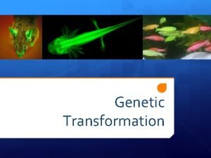 Genetic Transformation What is transformation When a cell