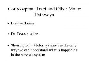 Corticospinal Tract and Other Motor Pathways LundyEkman Dr