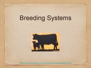 Breeding Systems http www heltonplastics comqualityanddurabilityasonlyheltoncanmakeitsilhouettessmallcowcalfpair Breeding Livestock