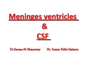 Meninges ventricles CSF Dr Sanaa AlShaarawy Dr Essam