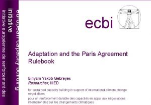 Adaptation and the Paris Agreement Rulebook Binyam Yakob