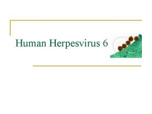 Human Herpesvirus 6 HHV6 n n n Virs