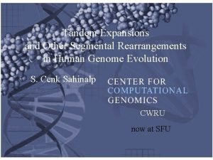 Tandem Expansions and Other Segmental Rearrangements in Human