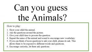 Guess who animals