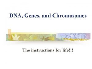 Dna, genes and chromosomes relationship Dna, genes and chromosomes relationship