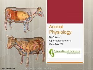 Animal Physiology By C Kohn Agricultural Sciences Waterford