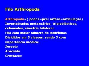 Filo Arthropoda podosps arthroarticulao Invertebrados metazorios triploblsticos celomados