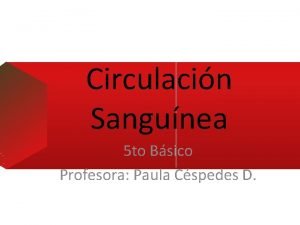 Circulacin Sangunea 5 to Bsico Profesora Paula Cspedes