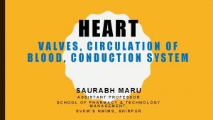 Second heart of the body