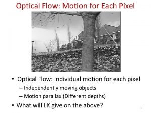 Optical Flow Motion for Each Pixel Optical Flow