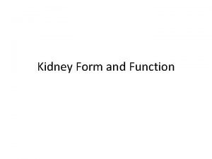 Kidney Form and Function Vertebrate Kidney Form The