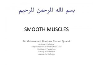 Muscle quadri