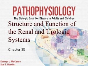 Structure and Function of the Renal and Urologic