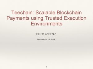 Trusted execution environment blockchain