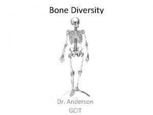 Bone Diversity Dr Anderson GCIT Bone Diversity There