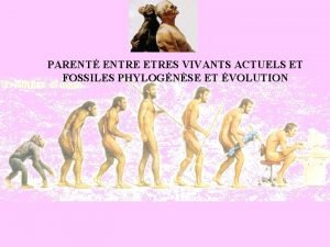 PARENT ENTRE ETRES VIVANTS ACTUELS ET FOSSILES PHYLOGNSE