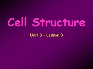Lesson 3 cell structure and function answer key