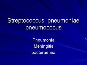 Streptococcus pneumoniae pneumococus Pneumonia Meningitis bacteraemia Description Grampositive