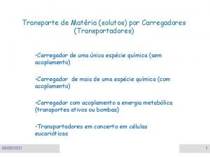 Transportador de monocarboxilato Transportador de monocarboxilato