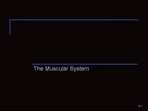 Unit 6:5 muscular system