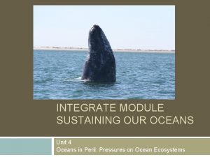 INTEGRATE MODULE SUSTAINING OUR OCEANS Unit 4 Oceans