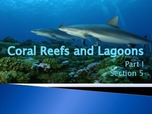 Coral Reefs and Lagoons Part I Section 5