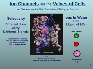 Ion Channels are the Valves of Cells Ion