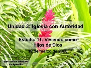 Unidad 3 Iglesia con Autoridad Estudio 11 Viviendo