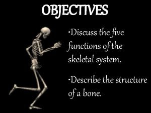 What are the five functions of the skeletal system?