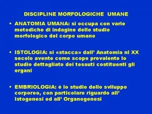 DISCIPLINE MORFOLOGICHE UMANE ANATOMIA UMANA si occupa con