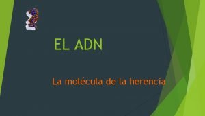 EL ADN La molcula de la herencia Ubicacin