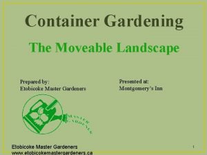 Container Gardening The Moveable Landscape Prepared by Etobicoke