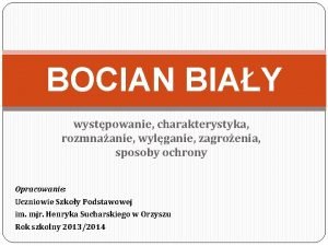 BOCIAN BIAY wystpowanie charakterystyka rozmnaanie wylganie zagroenia sposoby