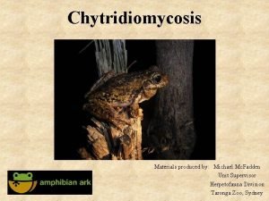 Chytridiomycosis Materials produced by Michael Mc Fadden Unit