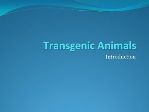 Transgenic Animals Introduction Techniques to develop transgenic animals