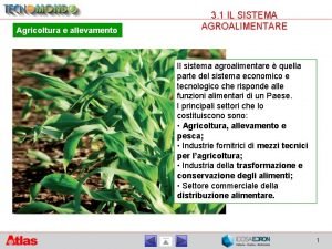 Agricoltura e allevamento 3 1 IL SISTEMA AGROALIMENTARE