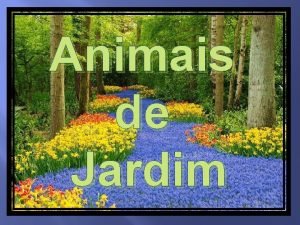 Animais de Jardim Joaninha A joaninha um inseto