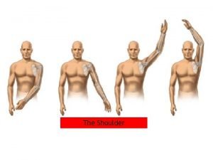Parts of the shoulder