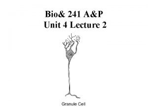 Bio 241 AP Unit 4 Lecture 2 Nervous