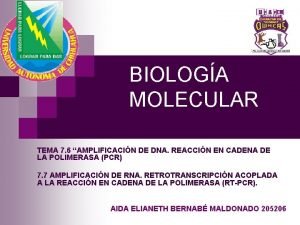 BIOLOGA MOLECULAR TEMA 7 6 AMPLIFICACIN DE DNA