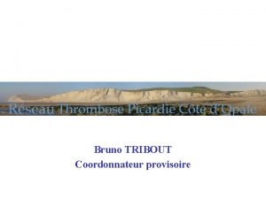 Bruno TRIBOUT Coordonnateur provisoire Rapport dactivit pour la