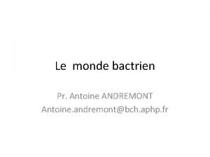 Antoine andremont