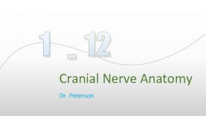 Cranial nerves 346